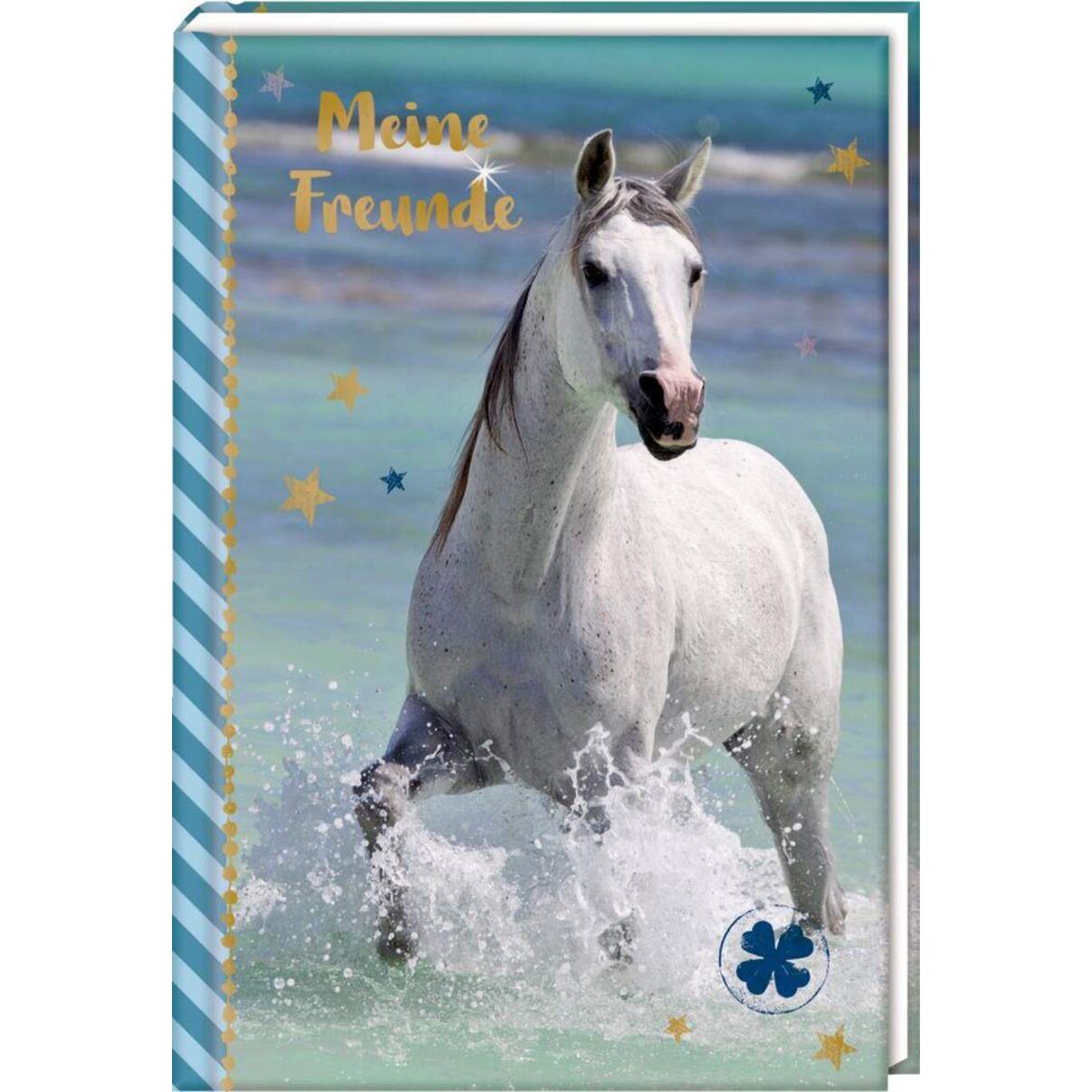 Coppenrath Verlag Freundebuch: Pferdefreunde - Pferd am Meer (blau)