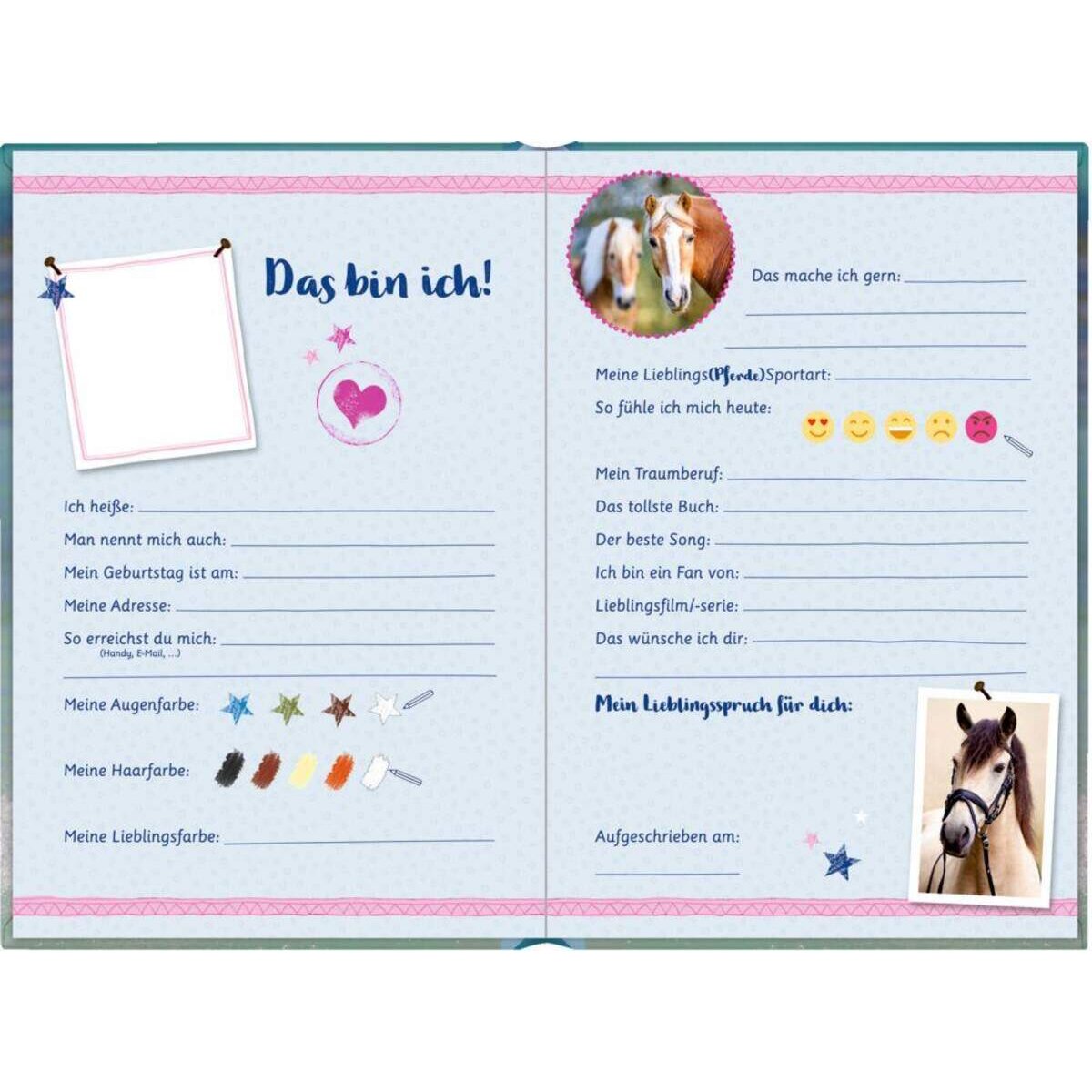 Coppenrath Verlag Freundebuch: Pferdefreunde - Pferd am Meer (blau)