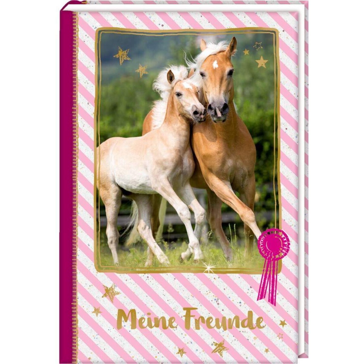 Coppenrath Verlag Freundebuch: Pferdefreunde - Stute mit Fohlen (pink)
