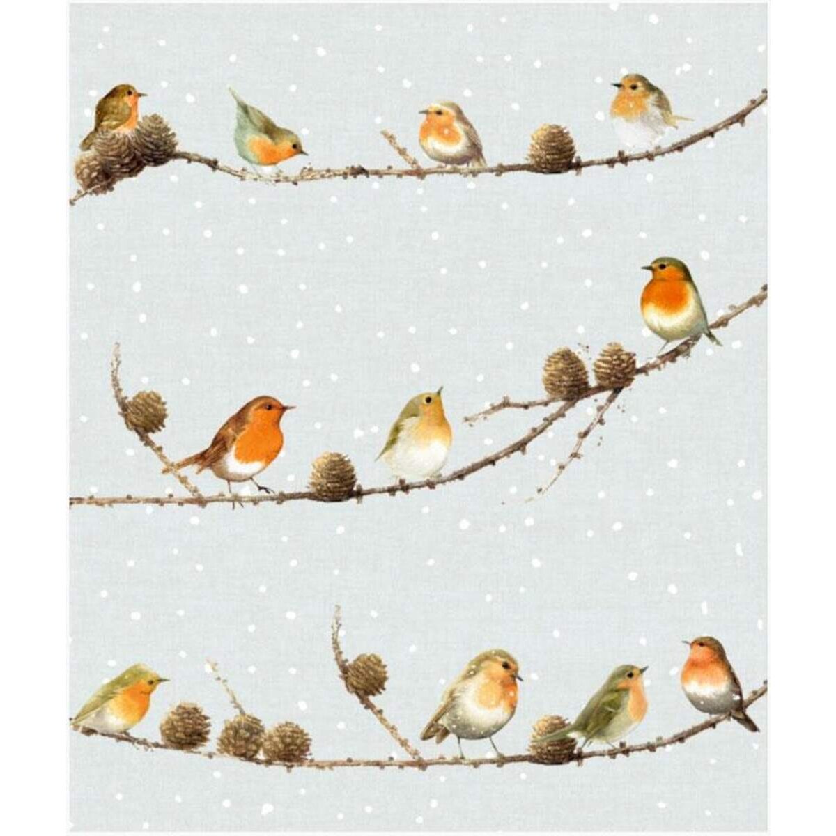 Coppenrath Verlag Geschenktüten-Buch: Schöner schenken (Weihnachtlich/Bastin)