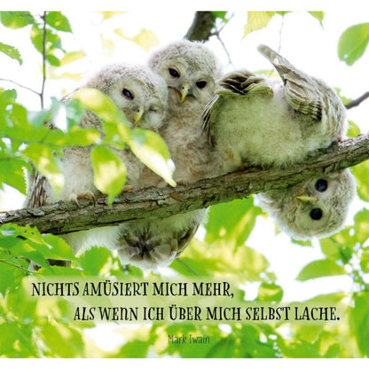 Coppenrath Verlag Großes Spiralaufstellbuch: Tag für Tag ein Grund zur Freude