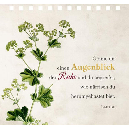 Coppenrath Verlag Gr.Spiralaufstellb.: Eine kl.Pause für jeden Tag (Augustina)