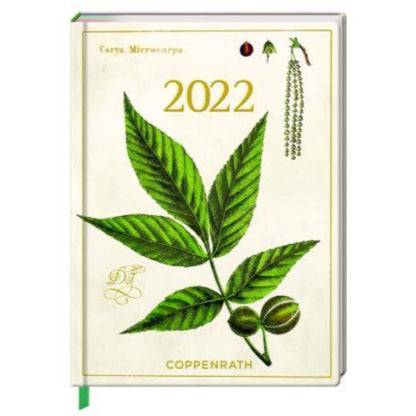 Coppenrath Verlag Jahreskalender: Mein Jahr 2022 - Hickory (Augustina)