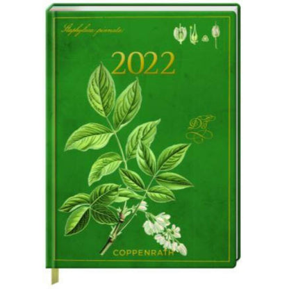 Coppenrath Verlag Jahreskalender: Mein Jahr 2022 - Pimpernuss (Augustina)