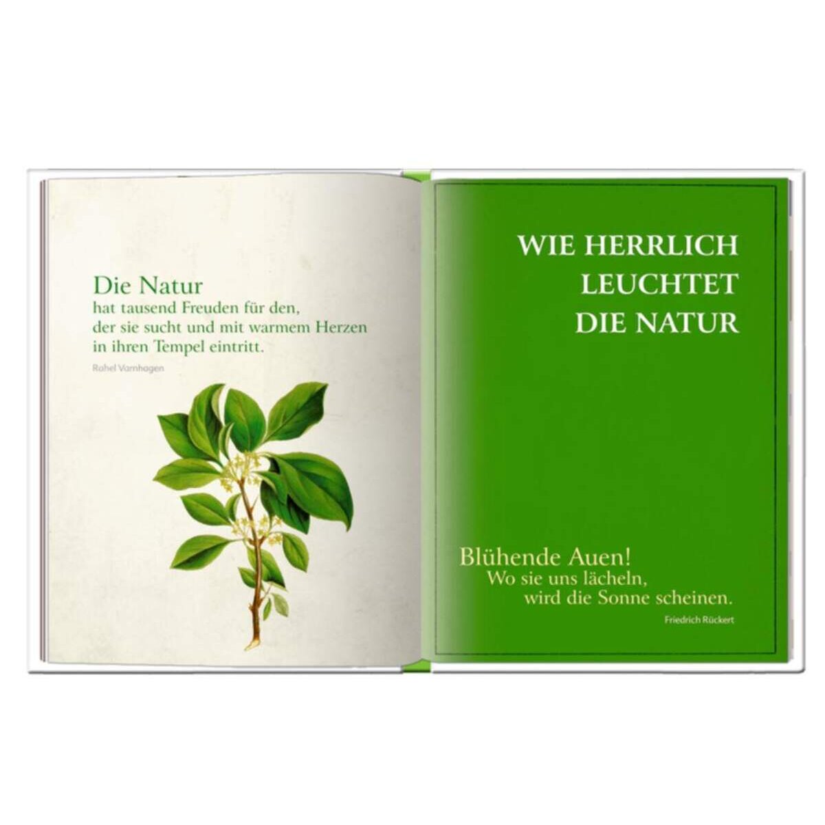 Coppenrath Verlag Kleine Auszeiten: Zeit zum Durchatmen (Geschenkset)