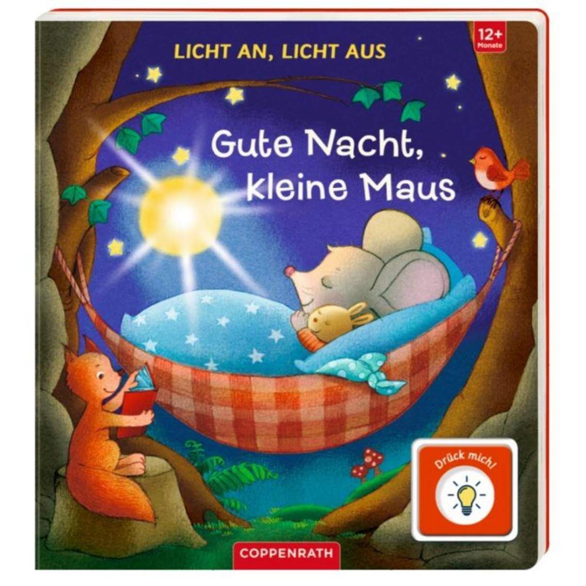 Coppenrath Verlag Licht an, Licht aus: Gute Nacht, kleine Maus