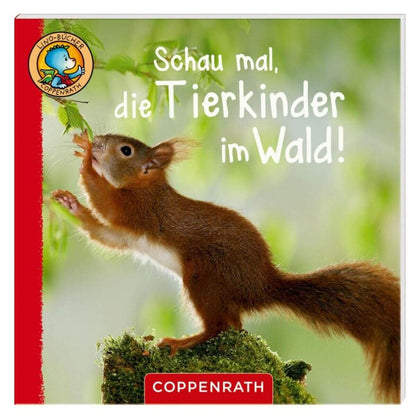 Coppenrath Verlag Lino-Buch 71 "Linos Tierkinder-Bildergeschichten", 1 Stück, 6-fach sortiert