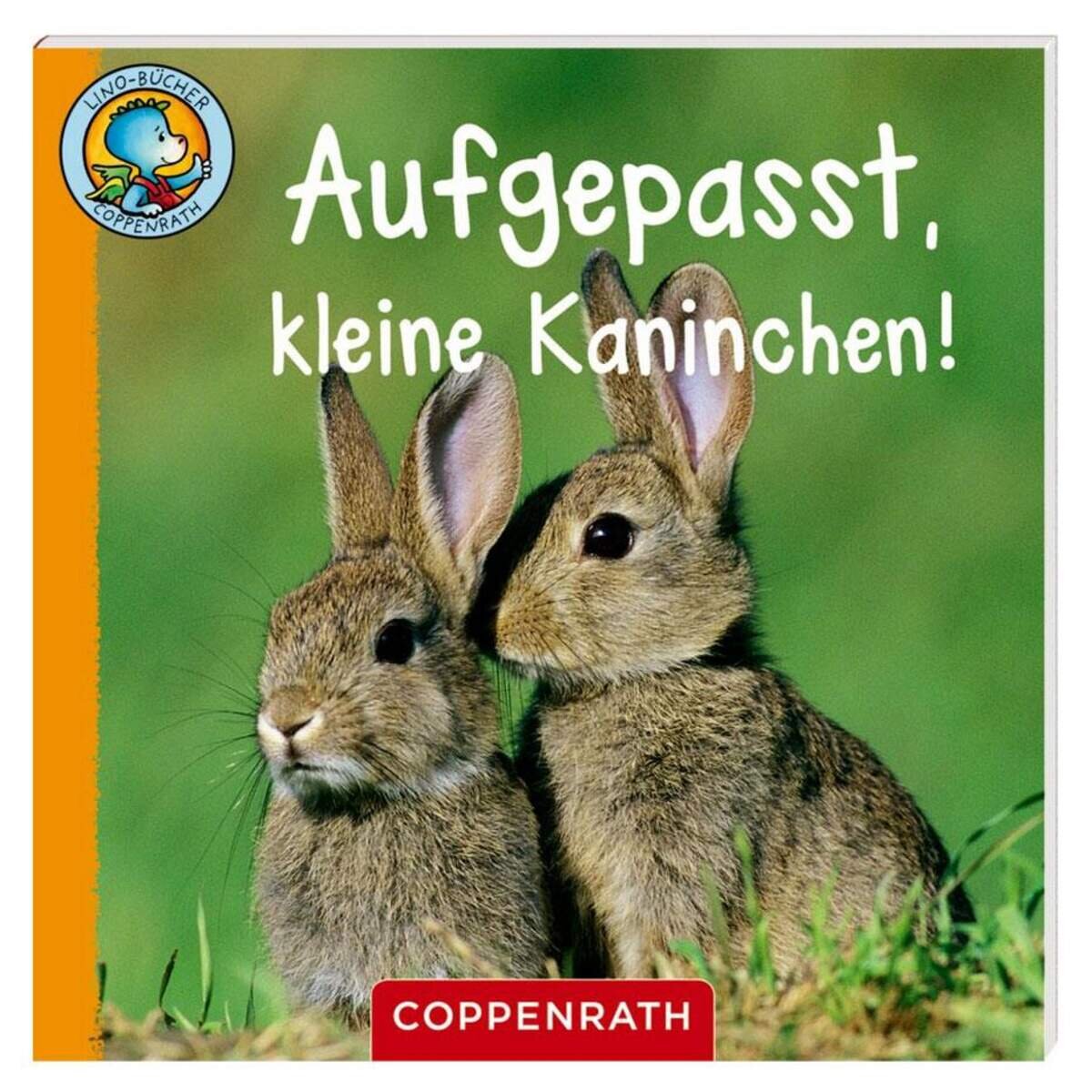 Coppenrath Verlag Lino-Buch 71 "Linos Tierkinder-Bildergeschichten", 1 Stück, 6-fach sortiert