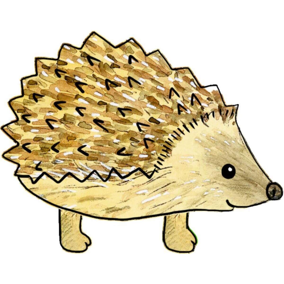 Coppenrath Verlag Mein kleines Gartenbuch: Igel