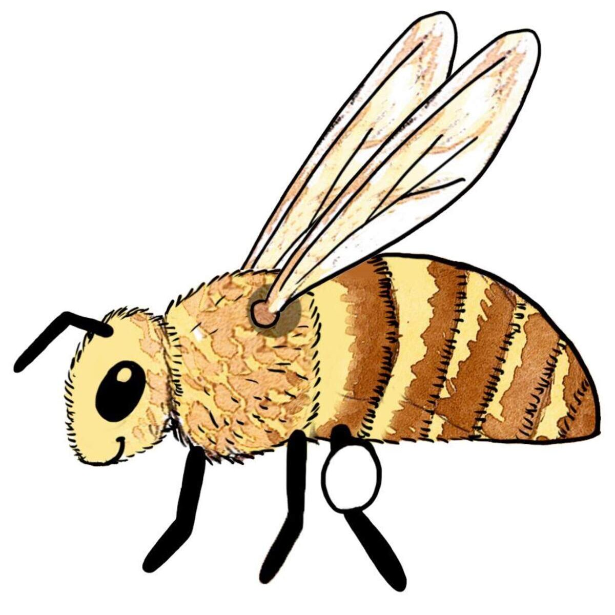 Coppenrath Verlag Mein kleines Gartenbuch: Bienen