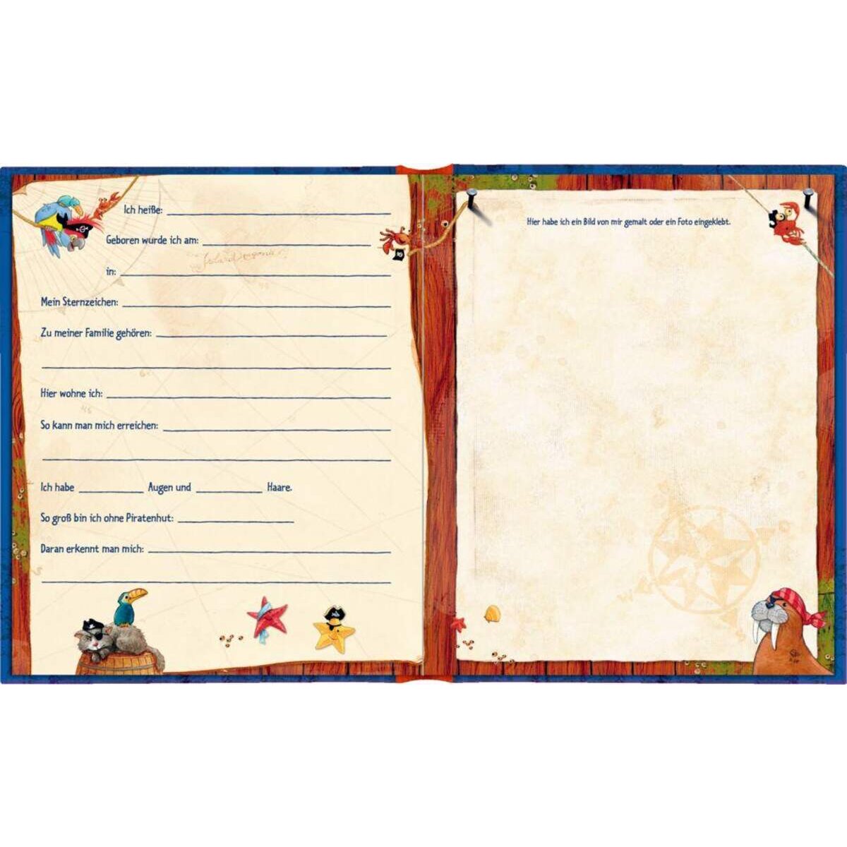 Coppenrath Verlag Meine Kindergartenfreunde Capt'n Sharky