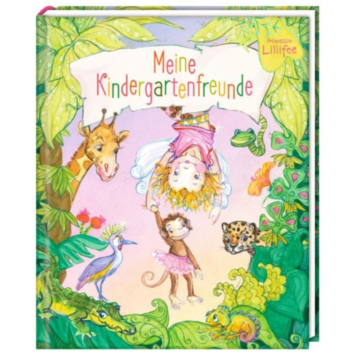 Coppenrath Verlag Meine Kindergartenfreunde Prinzessin Lillifee