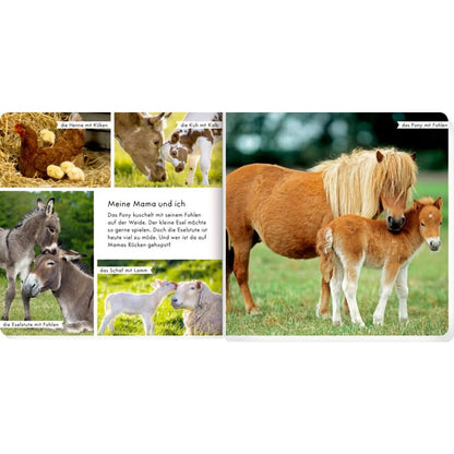 coppenrath-verlag-meine-liebsten-tiere-BF00426A2.jpg