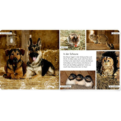 coppenrath-verlag-meine-liebsten-tiere-BF00426A4.jpg