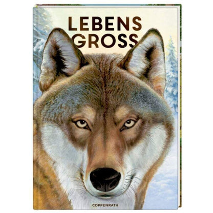 Coppenrath Verlag Nature Zoom Lebensgroß - Tiere des Waldes