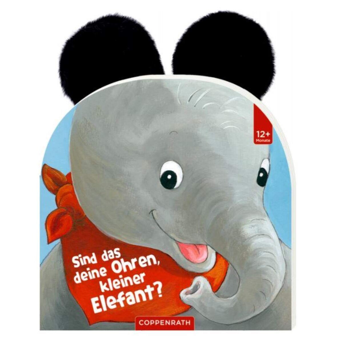 Coppenrath Verlag Sind das deine Ohren, kleiner Elefant?