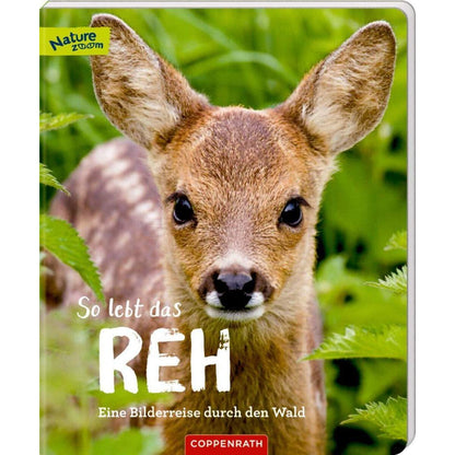 Coppenrath Verlag So lebt das Reh (Nature Zoom)