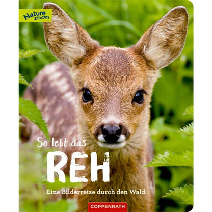 Coppenrath Verlag So lebt das Reh (Nature Zoom)