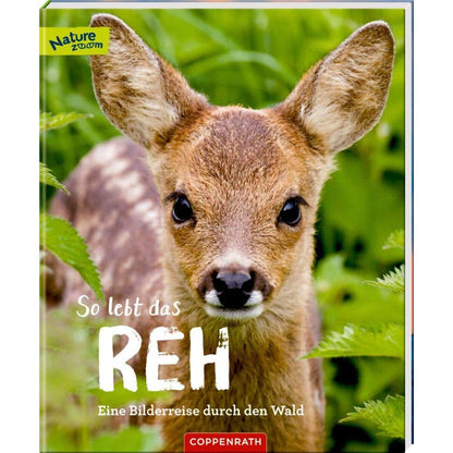 Coppenrath Verlag So lebt das Reh (Nature Zoom)