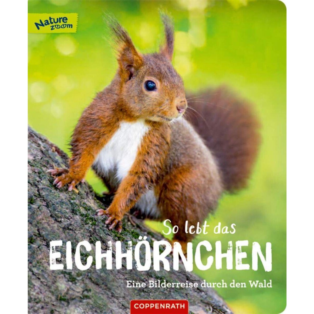 Coppenrath Verlag So lebt das Eichhörnchen (Nature Zoom)