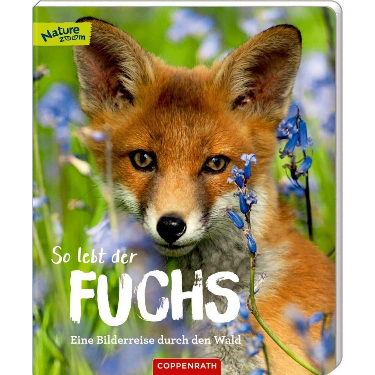 Coppenrath Verlag So lebt der Fuchs (Nature Zoom)