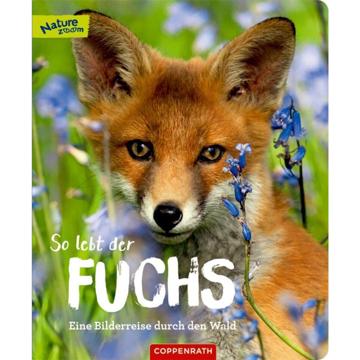 Coppenrath Verlag So lebt der Fuchs (Nature Zoom)