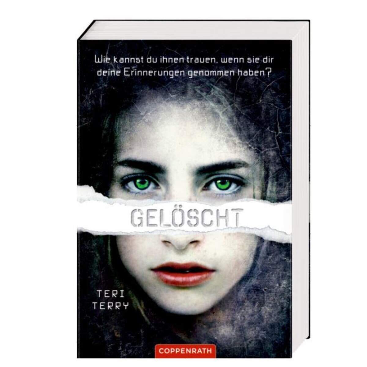 Coppenrath Verlag Terry Terry - Gelöscht (Limitierte Sonderausgabe)