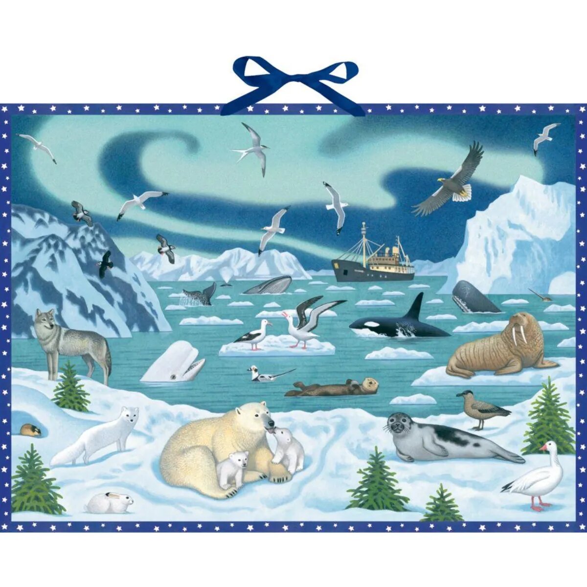 Coppenrath Verlag Tiere der Arktis Wand-Adventskalender