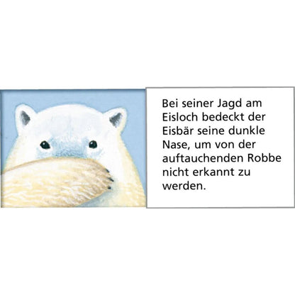 Coppenrath Verlag Tiere der Arktis Wand-Adventskalender