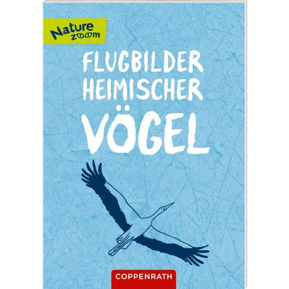 Coppenrath Verlag Unsere Vögel - kennenlernen u. schützen (Nature Zoom)