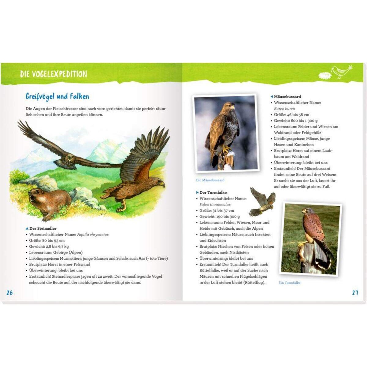 Coppenrath Verlag Unsere Vögel - kennenlernen u. schützen (Nature Zoom)