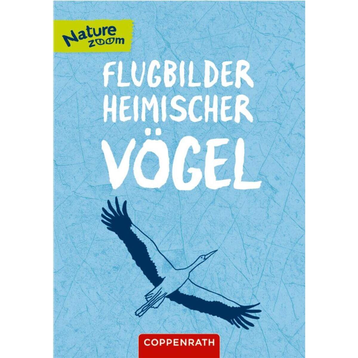 Coppenrath Verlag Unsere Vögel - kennenlernen u. schützen (Nature Zoom)