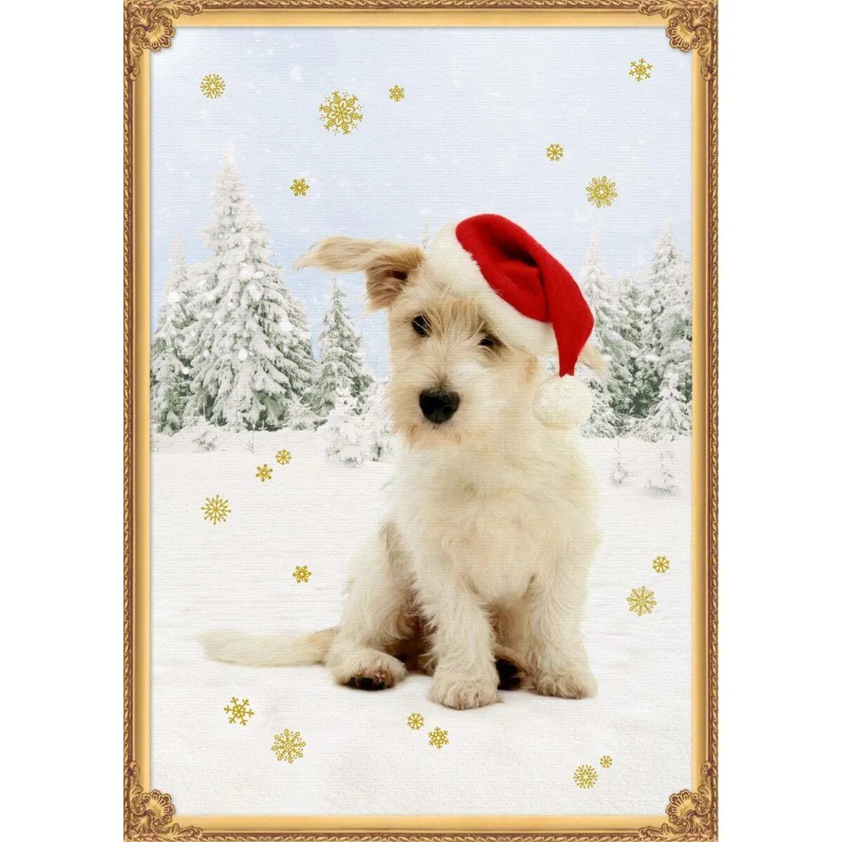 Coppenrath Verlag Vier Pfoten im Schnee, Wand-Adventskalender A3