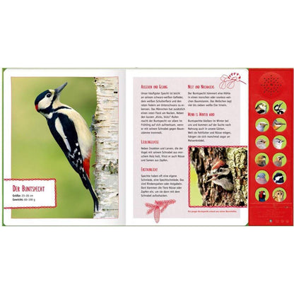 Coppenrath Verlag Vögel in Feld und Wald Mit echten Tierstimmen