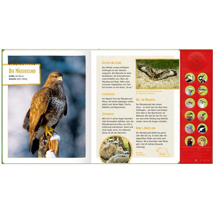 Coppenrath Verlag Vögel in Feld und Wald Mit echten Tierstimmen