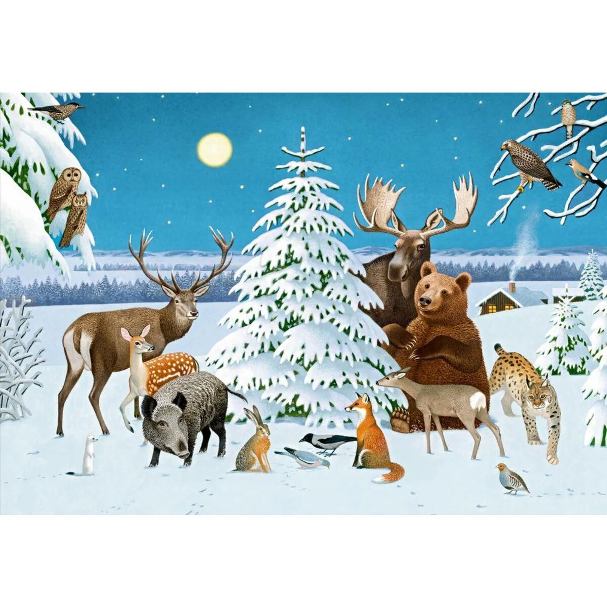 Coppenrath Verlag Weiße Winterwelt, Mini-Adventskalender-Sort.