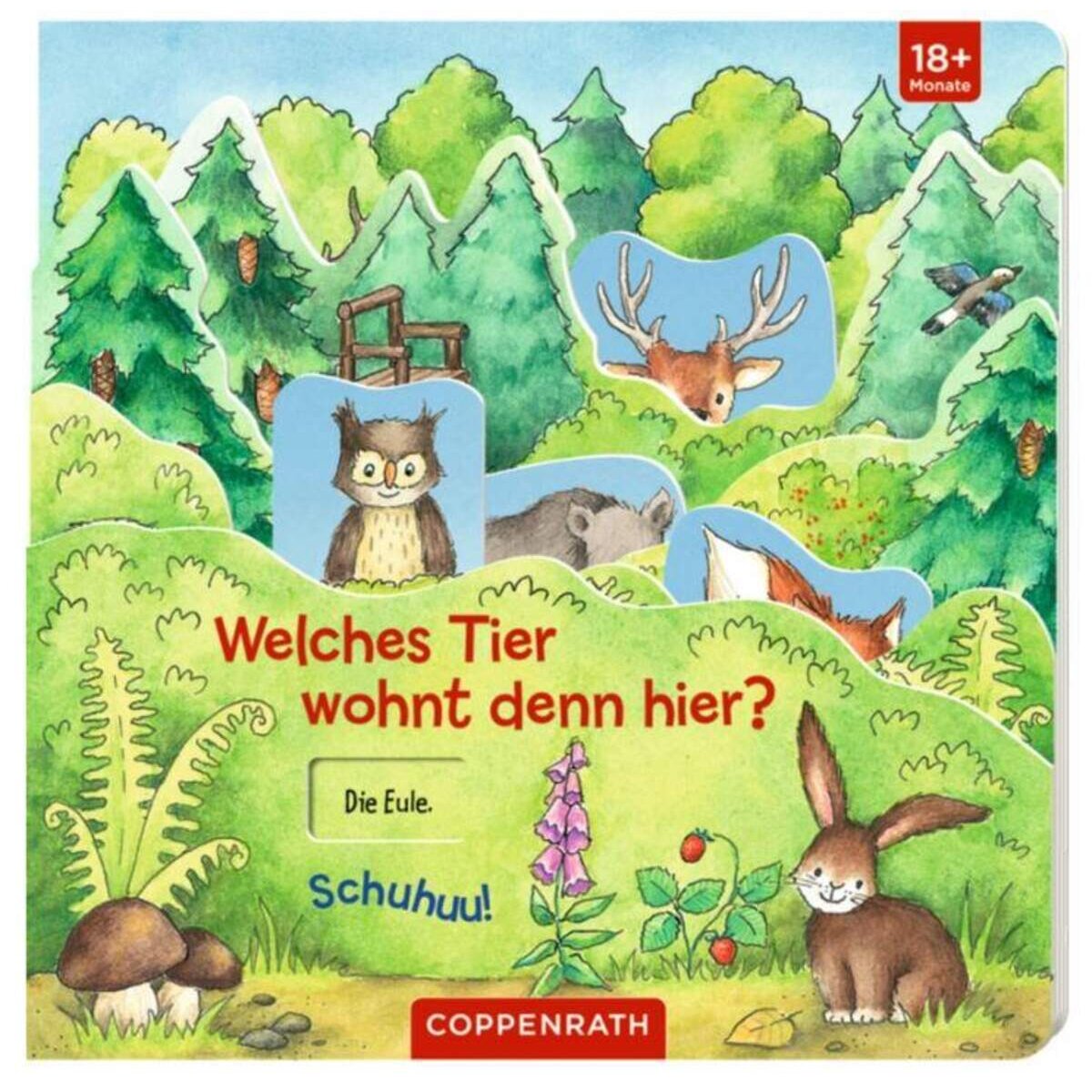 Coppenrath Verlag Welches Tier wohnt denn hier? - Schuhuu!
