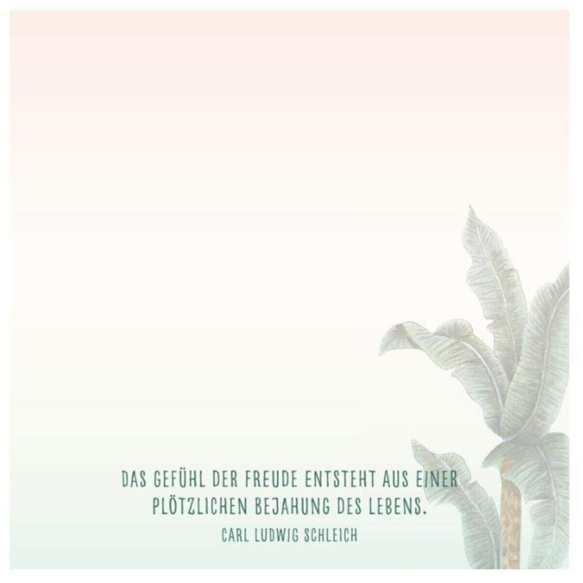 Coppenrath Verlag Zettelkästchen - Einfach schön notiert!