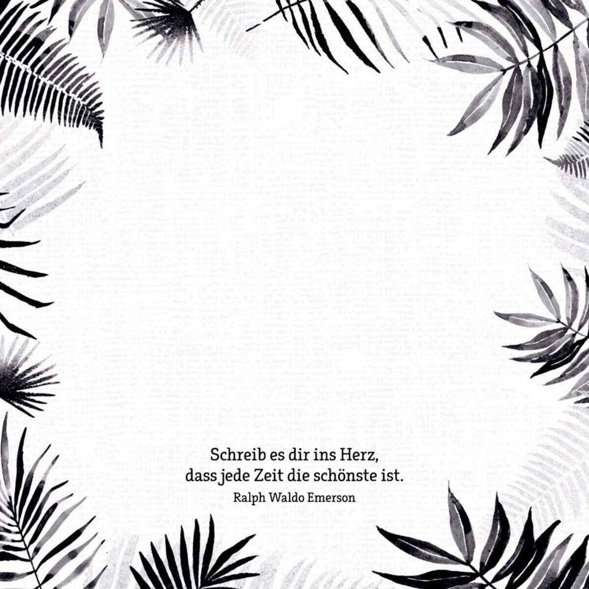 Coppenrath Verlag Zettelkästchen Einfach schön notiert - All about black&white