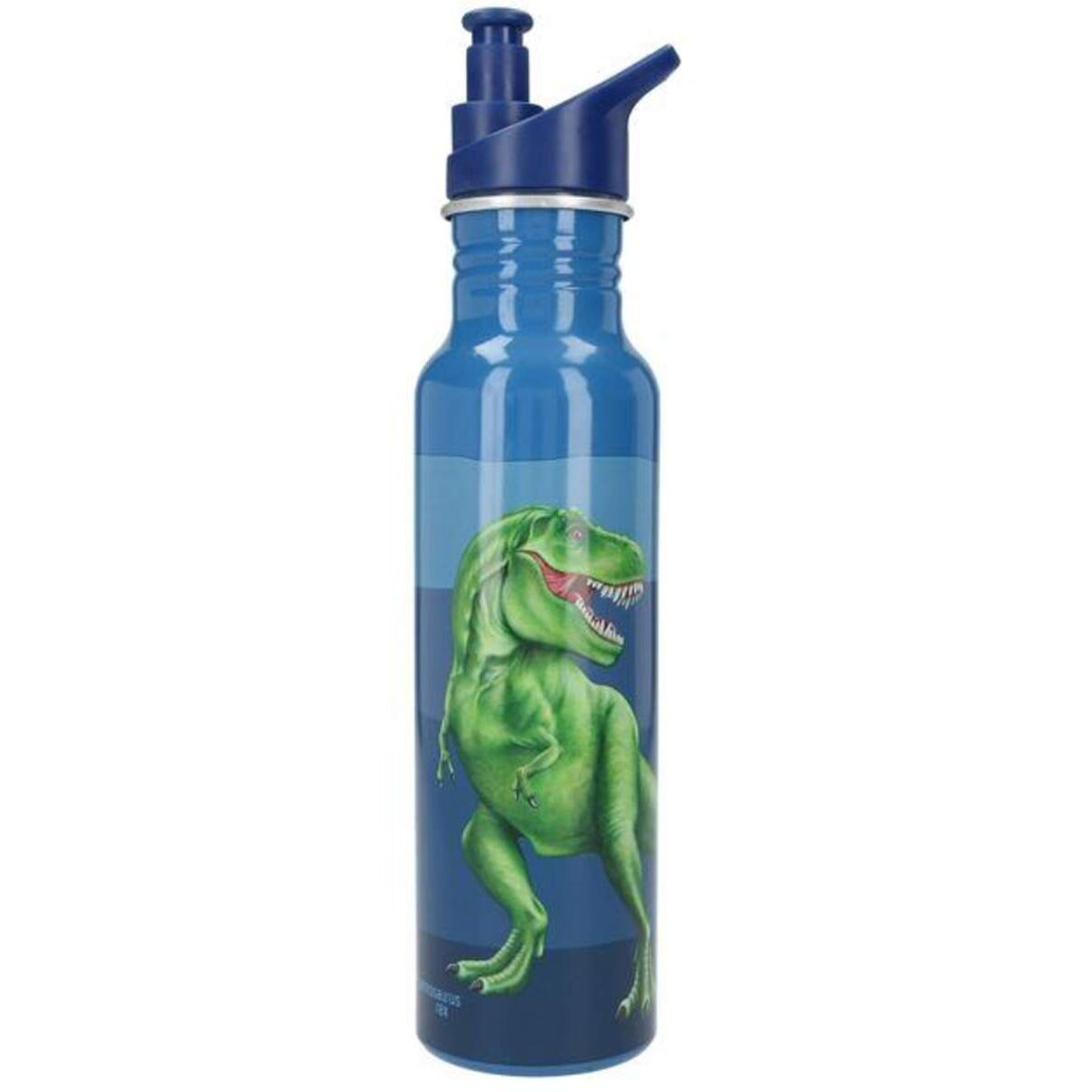 Depesche Dino World Trinkflasche, 650 ml