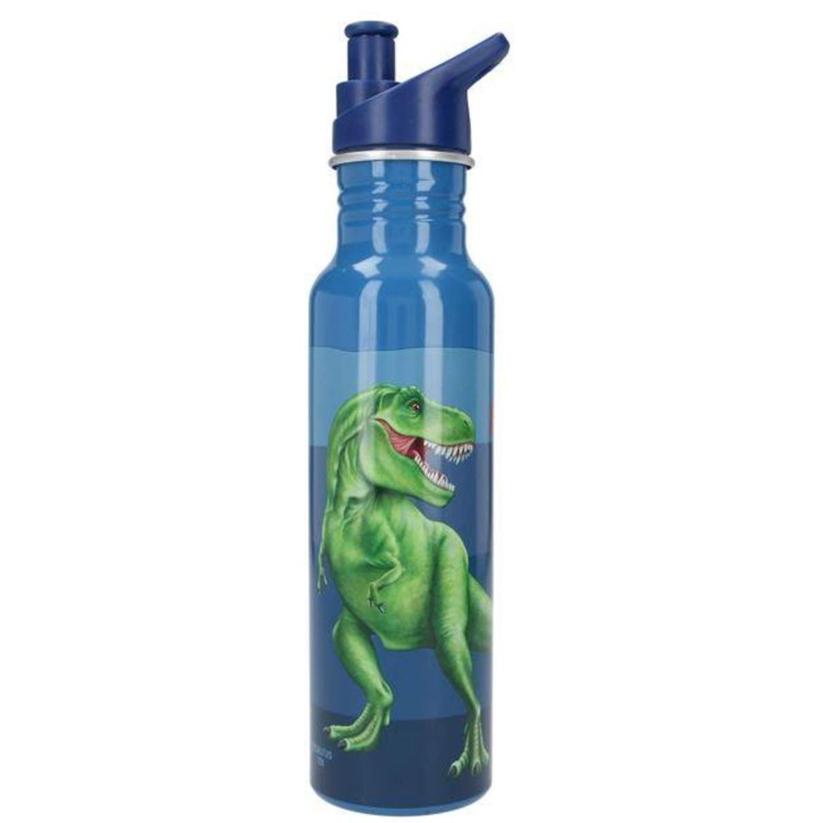 Depesche Dino World Trinkflasche, 650 ml