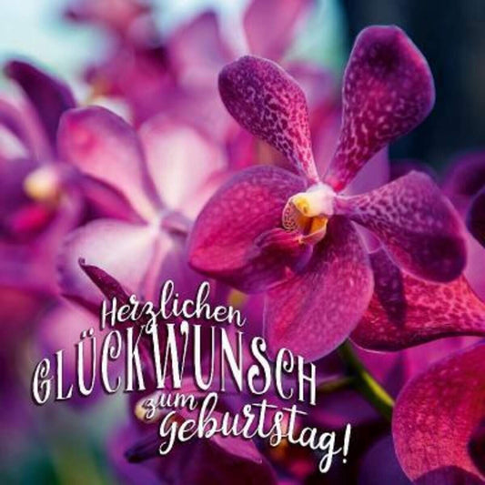 Depesche Klappkarte 3D Foto, quadratisch, 1 Stück, sortiert