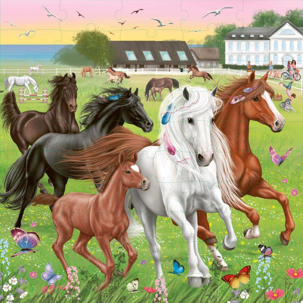 Depesche Miss Melody Puzzle 50 Teile