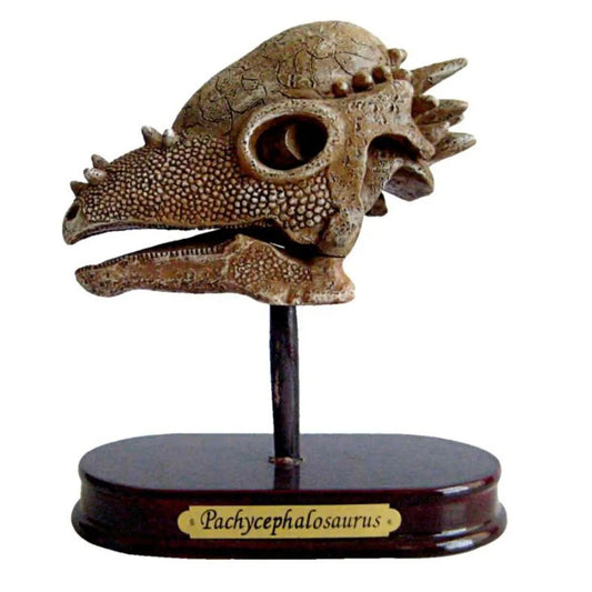 Die Spiegelburg Ausgrabungsset Dinoschädel Pachycephalosaurus T-Rex World