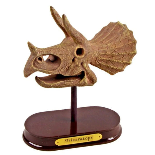 Die Spiegelburg Ausgrabungsset Dinoschädel Triceratops T-Rex World