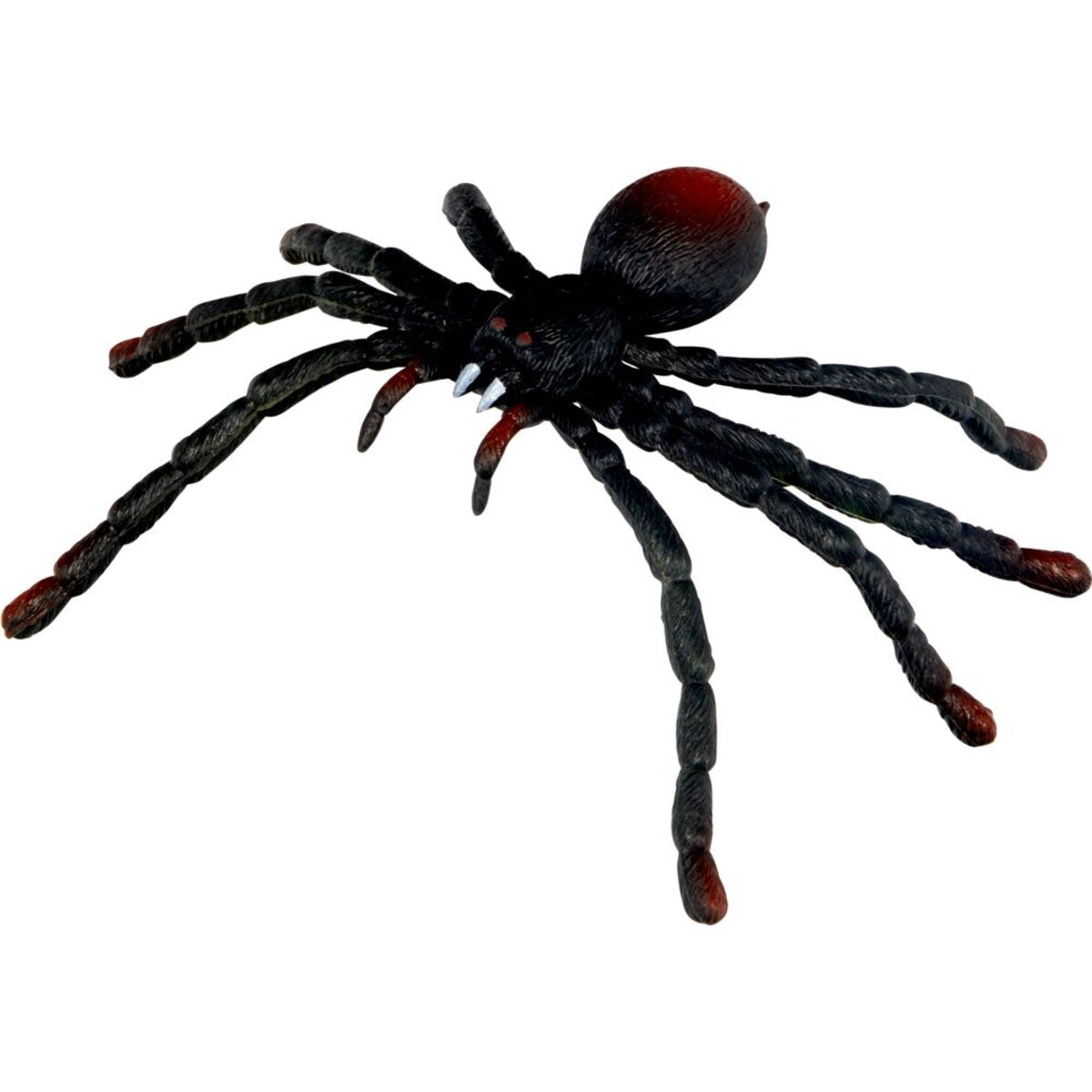 die-spiegelburg-biege-spinne-wildcool-576ECC082.jpg