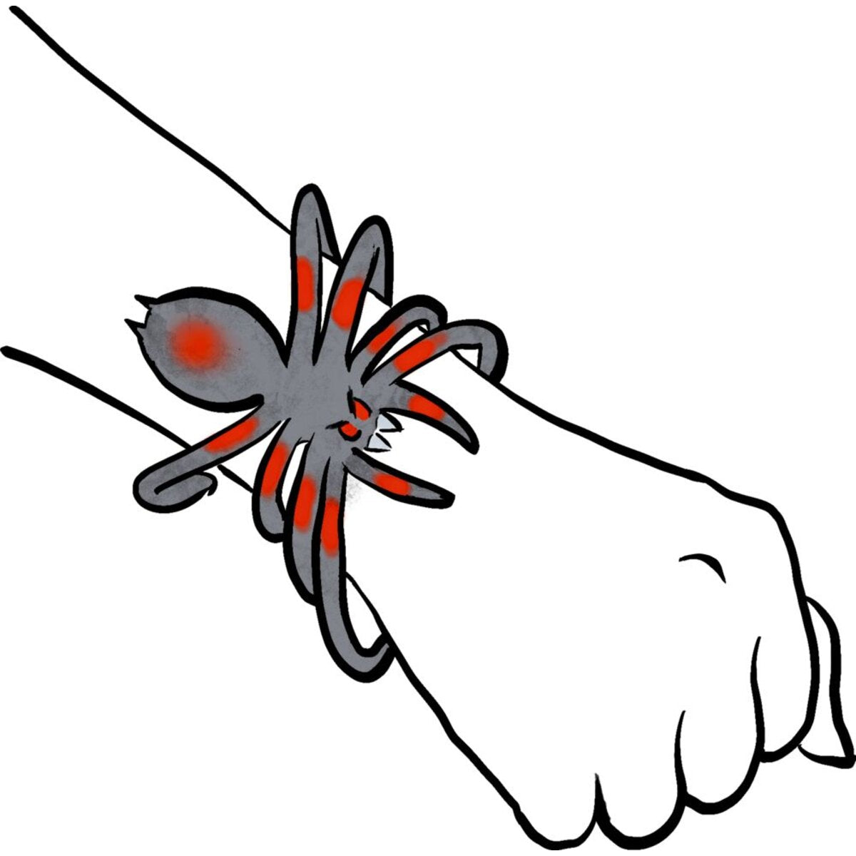 die-spiegelburg-biege-spinne-wildcool-576ECC084.jpg