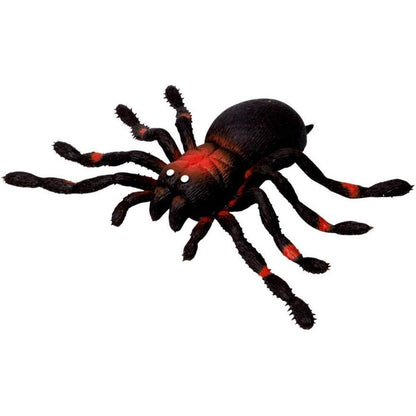 Die Spiegelburg Kellerspinne Wild+Cool