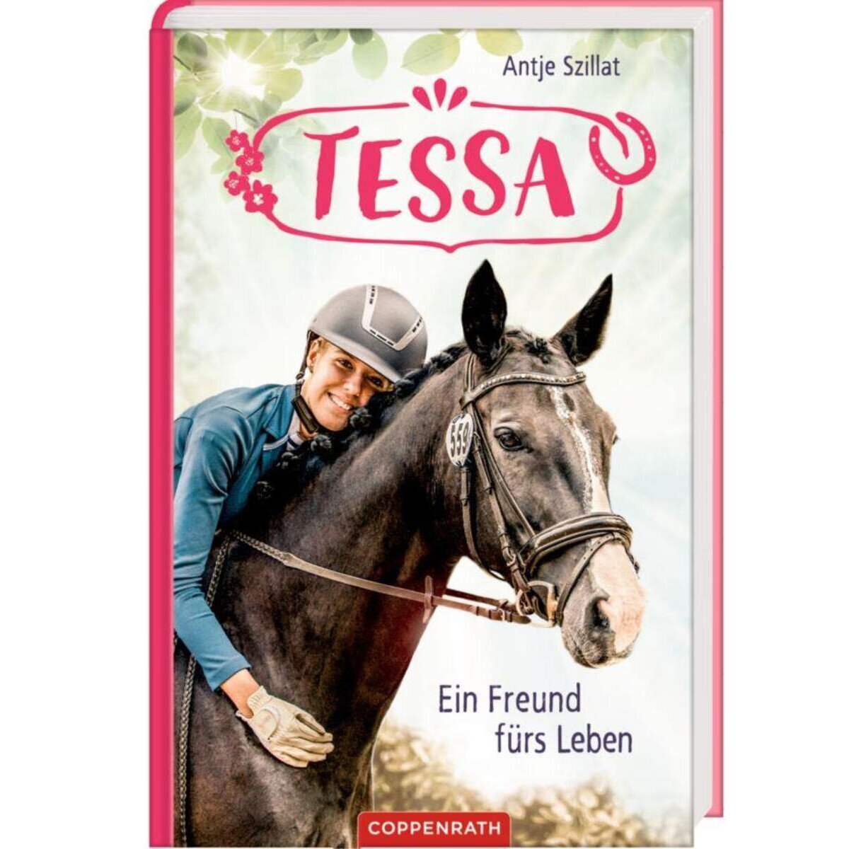 Die Spiegelburg Tessa Band 3 Ein Freund fürs Leben