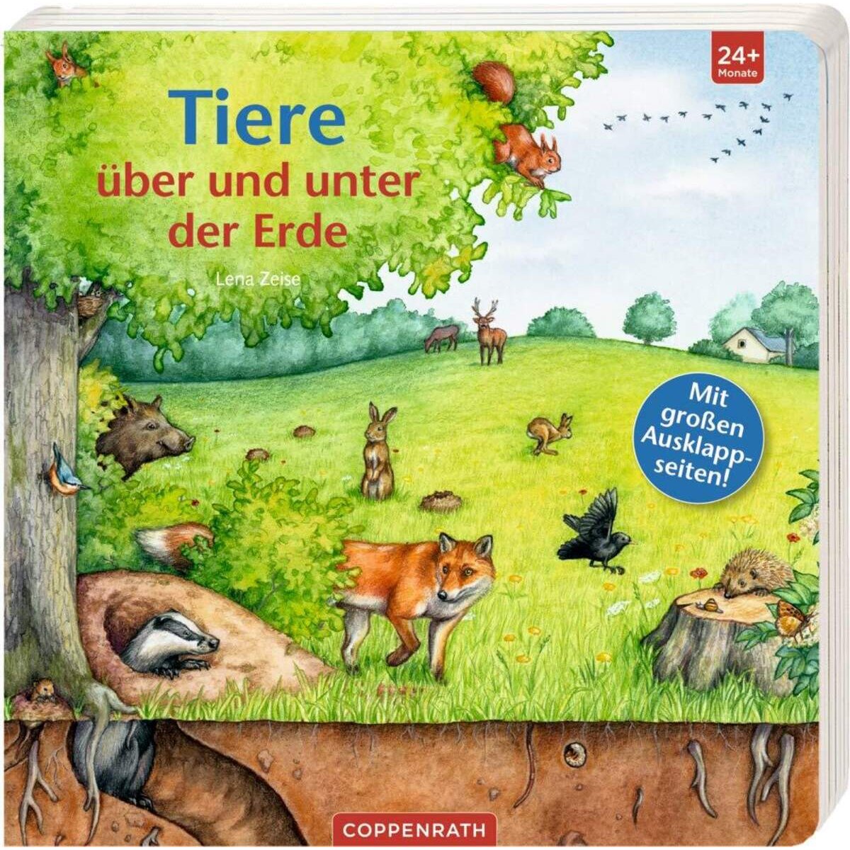 Die Spiegelburg Tiere über und unter der Erde